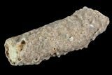 Fulgurite - Petrified Lightning #90348-1